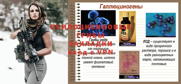 прущая мука Кукмор