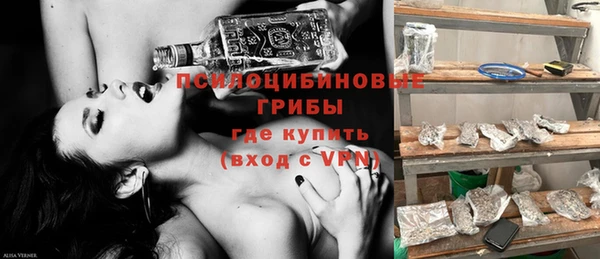 Альфа ПВП Кулебаки